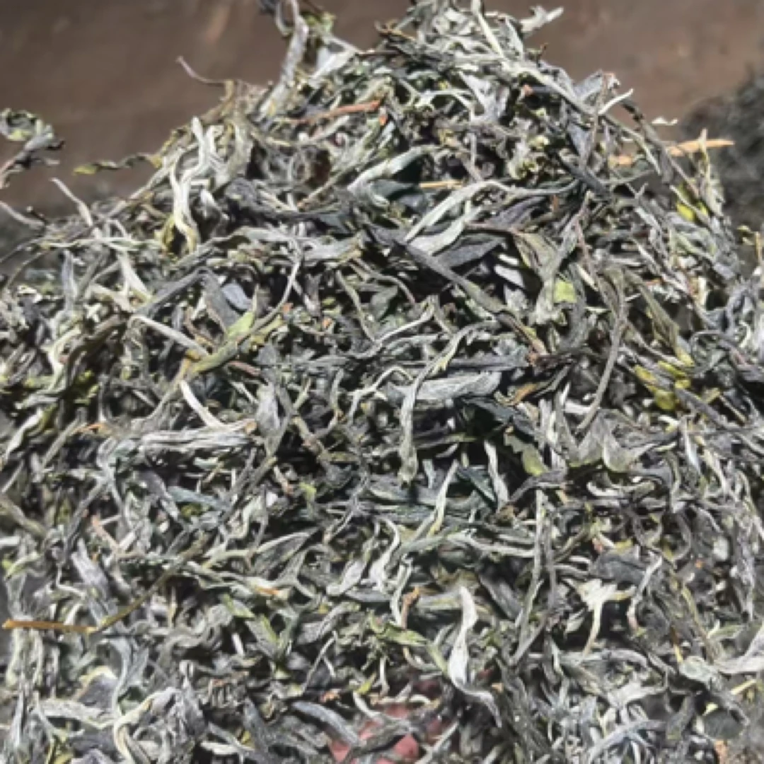 正宗云南坝糯藤条古树生茶芽叶肥硕有冰糖甜韵