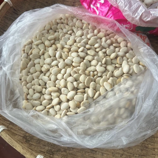 【顺丰冷运】白玉豆干江西小炒甄选老品种农家自种新鲜现摘发货