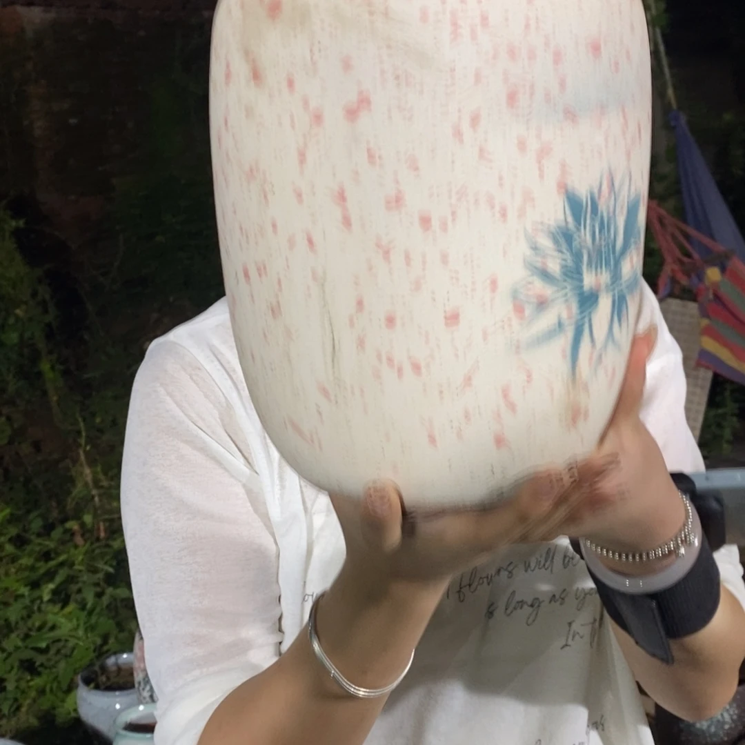 紫砂花盆正品20/25