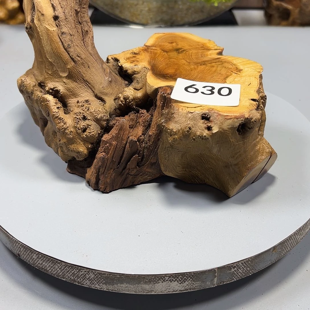 大果紫檀（缅甸花梨）全***夫