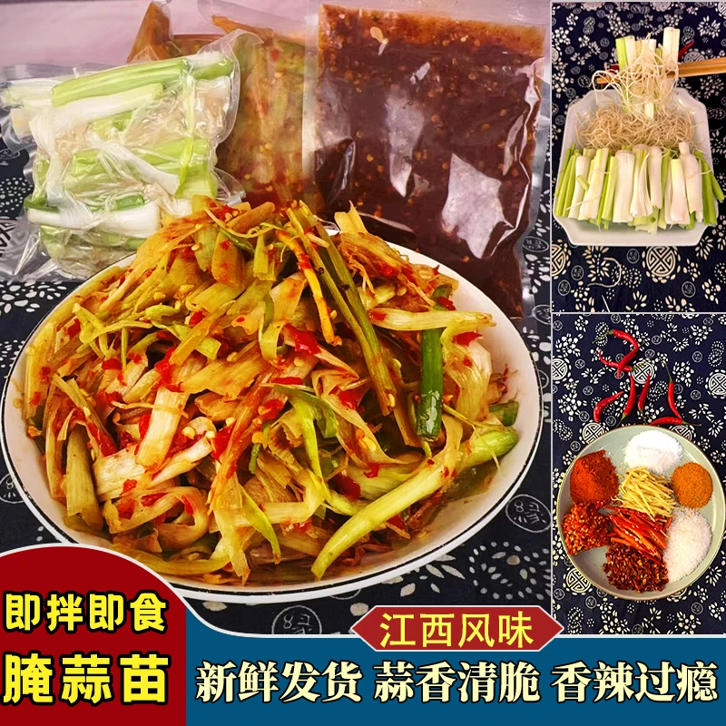 江西特产农家手作香辣腌蒜苗开胃下酒菜360g 锁鲜发货 顺丰到家