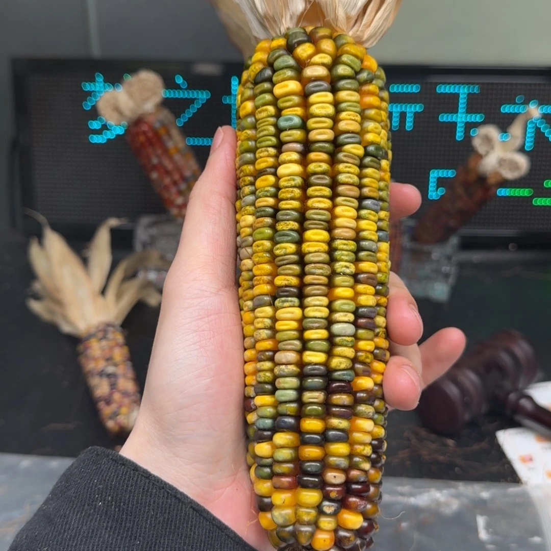 柏香籽/百香籽吊坠米*