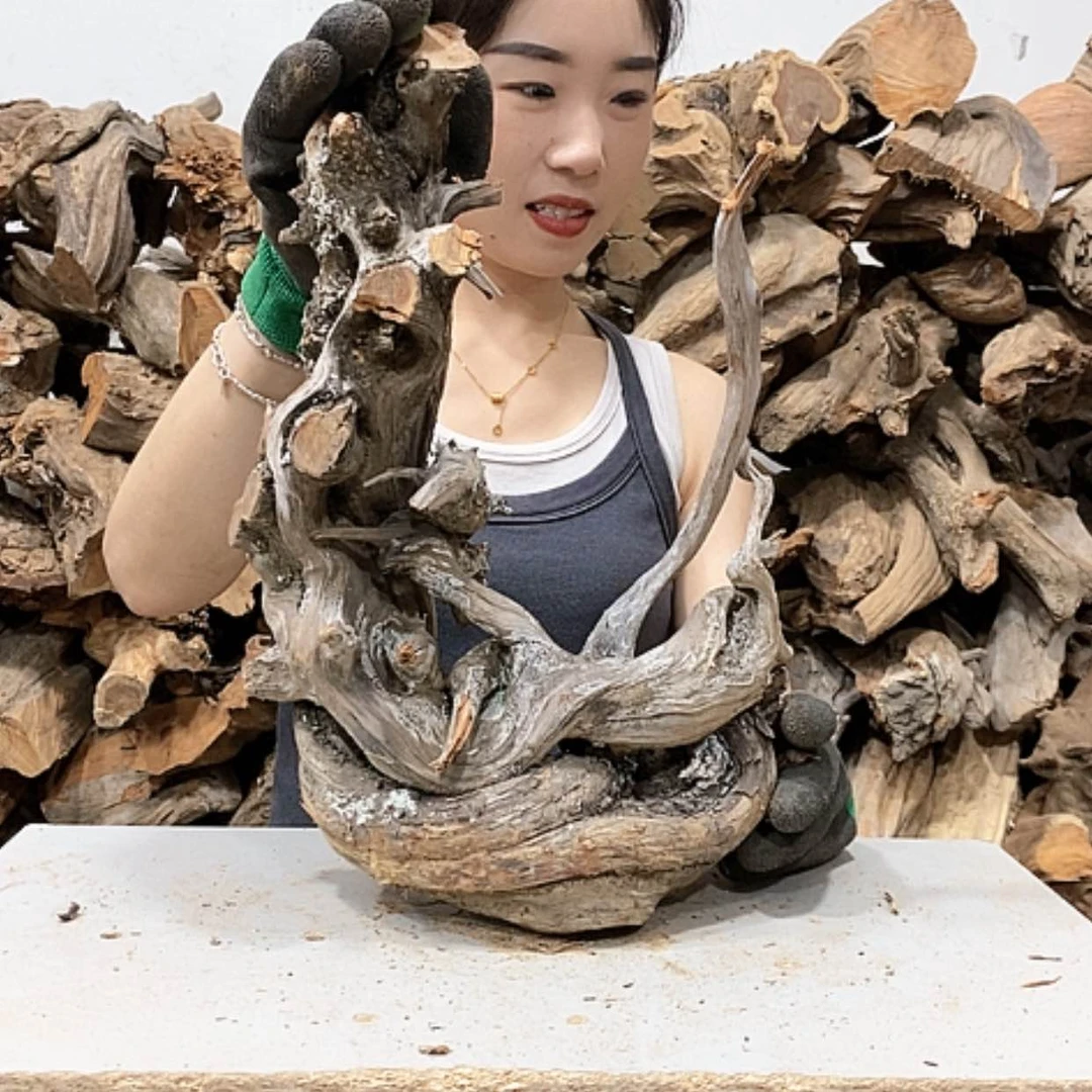 【闪购商品】柏木竹**人我们都是好孩子啊