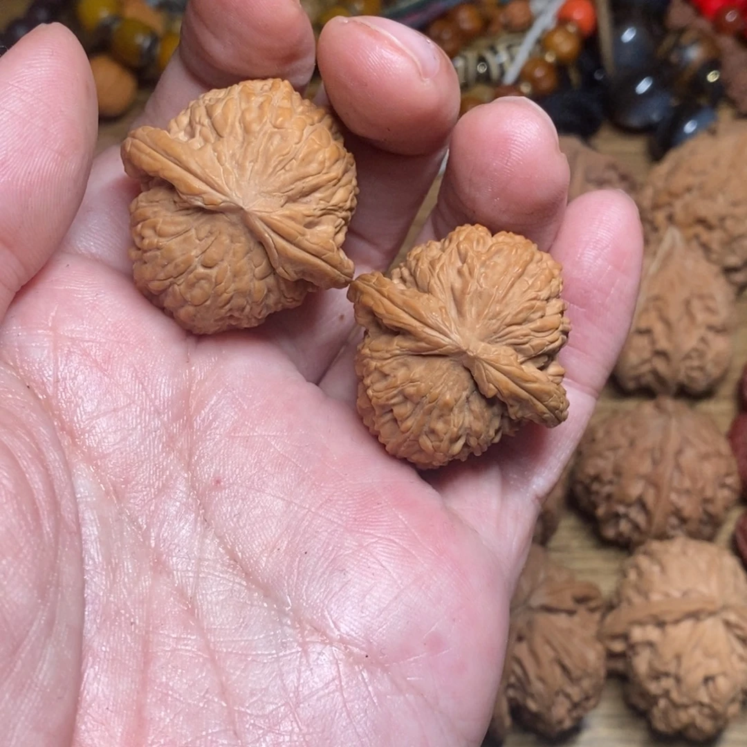 手串/手链核桃34小白狮子