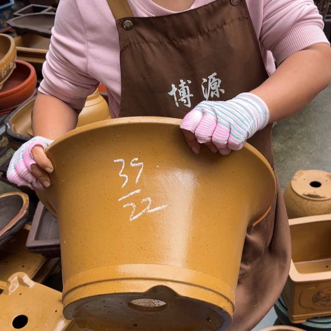 花盆紫砂盆景艺术