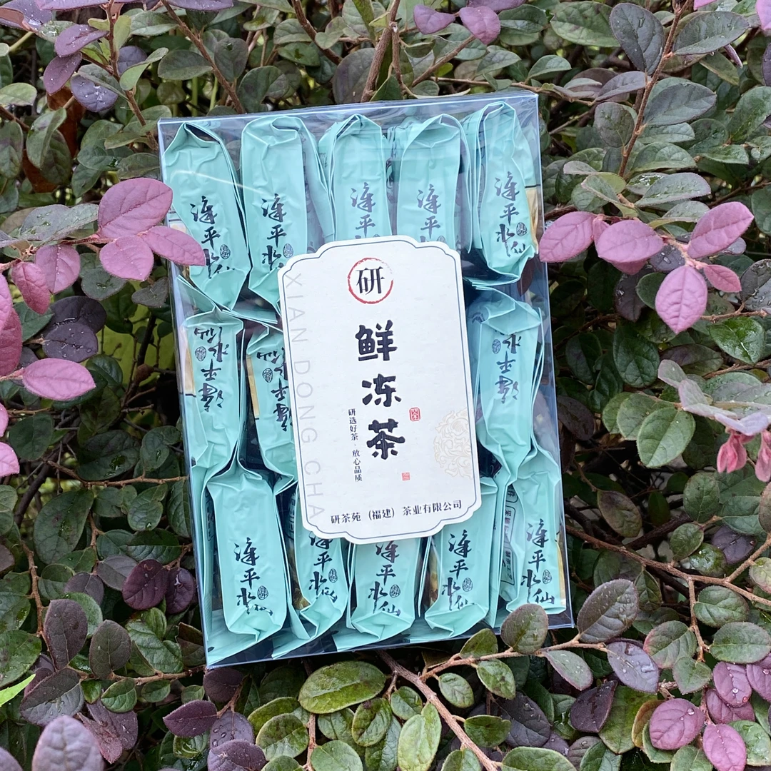 【鲜冻茶】口感鲜甜 滋味饱满 特别好喝 漳平水仙鲜冻湿茶叶500g