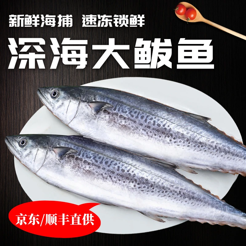 1鲅鱼新鲜冰鲜蓝点马鲛鱼鲜活特大号野生海捕大马鲛鱼扁马鲛大连
