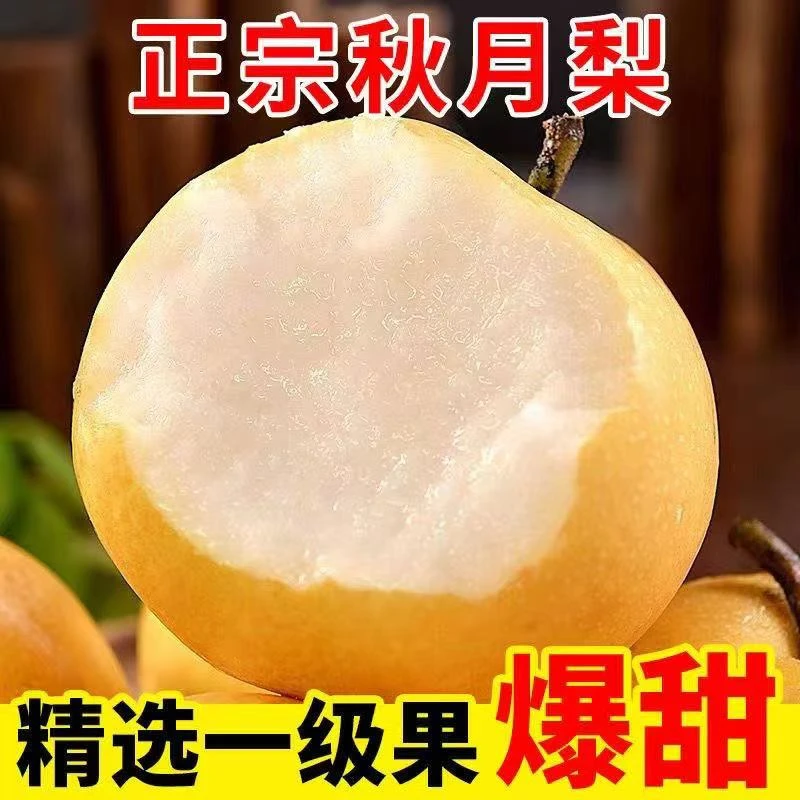 （顺丰发货）正宗秋月梨新鲜现摘脆甜多汁当季水果细嫩化渣