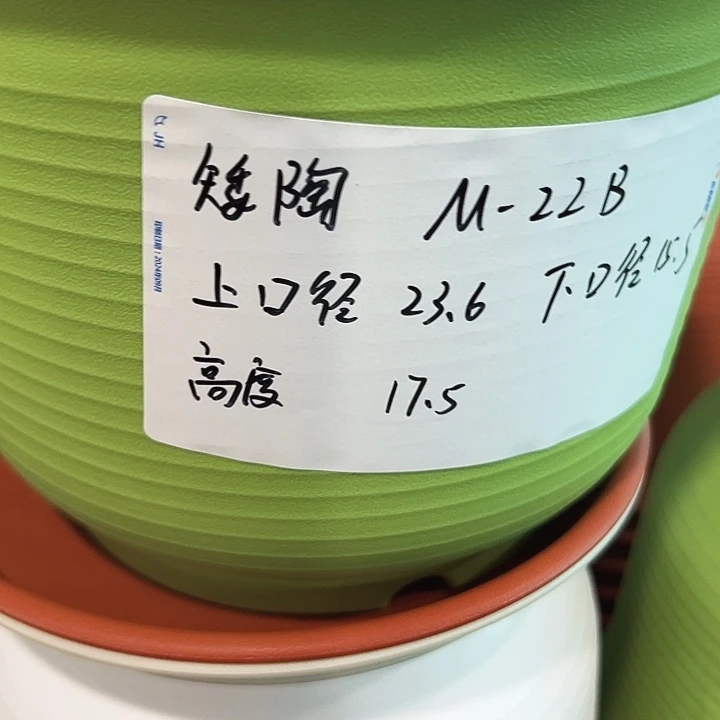 正品矮陶口23.6高17.5果绿无托6只