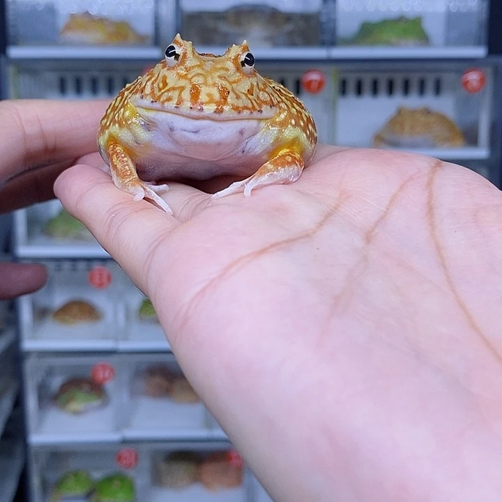 特价秒杀现货特价残