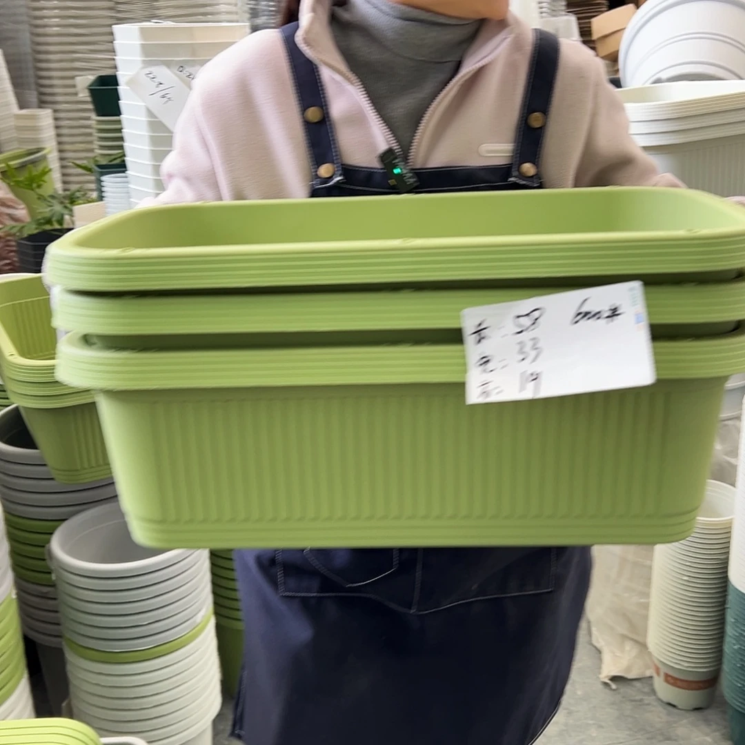 菜盆600#果绿色3个无托