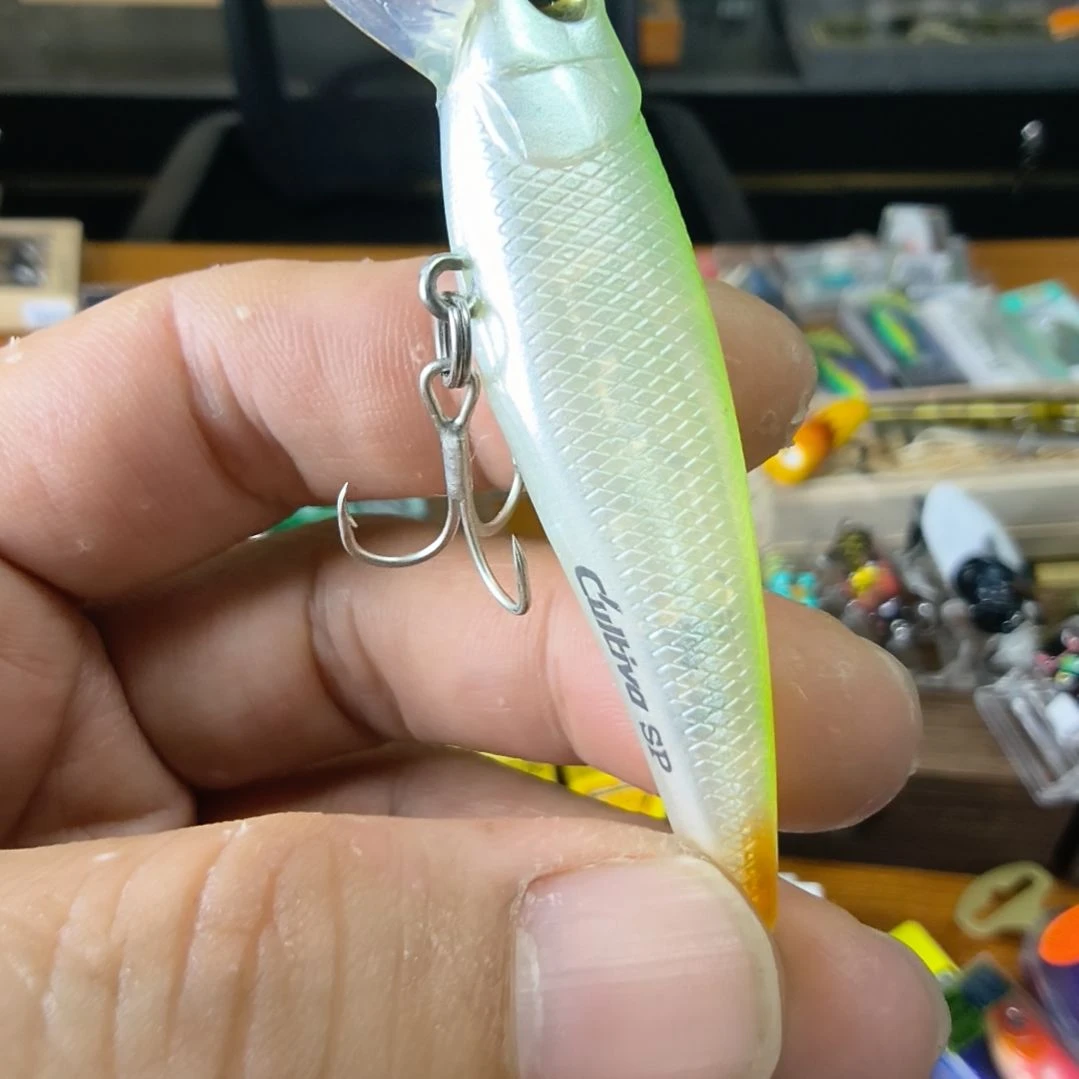 直播间路亚鱼饵装备11