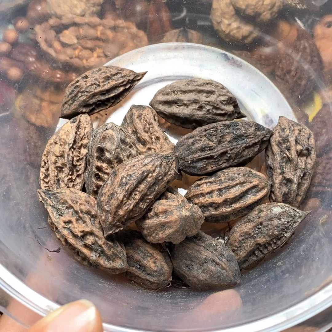 文玩核桃吊坠核桃35