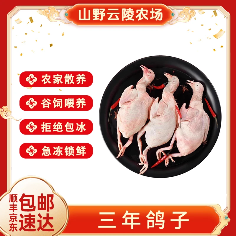 山野云陵农场农家散养三年老鸽子3只新鲜农村土鸽子内脏在