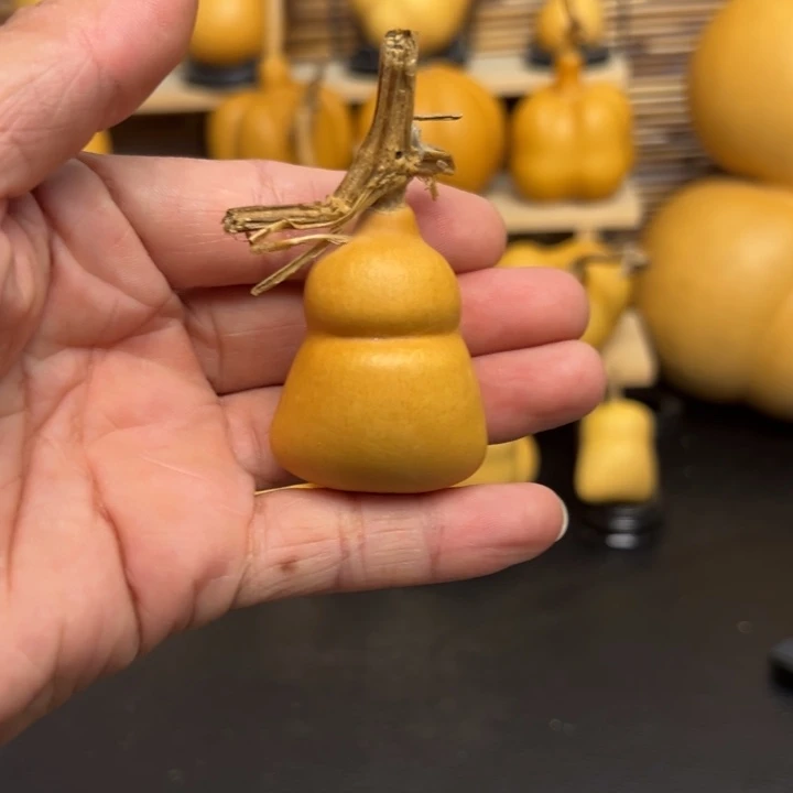 一*呀22555566666999