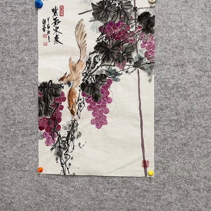 国画花鸟等多种鸟类和