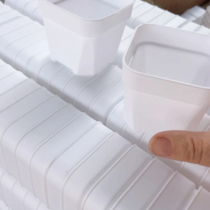 白方加厚口8高7一组20