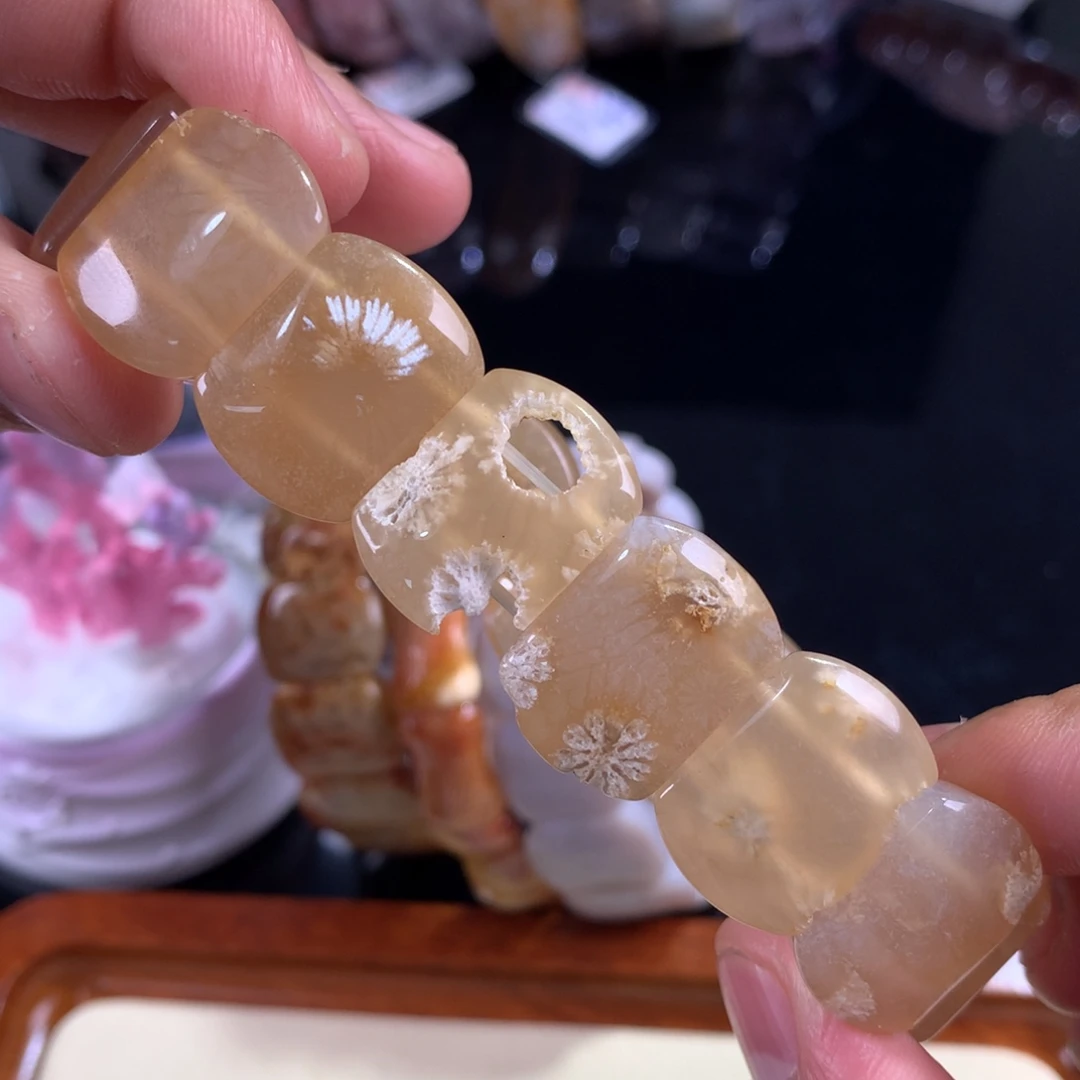 硅化珊瑚（珊瑚玉）未镶嵌吊坠(赠链)62号标本花花
