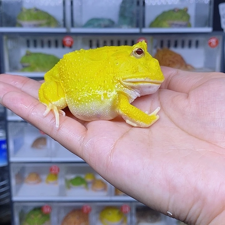 特价秒杀现货特价