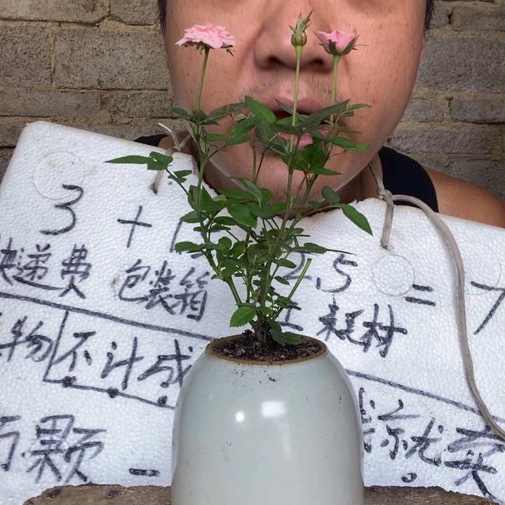 I****w退款拉黑一物一拍 201