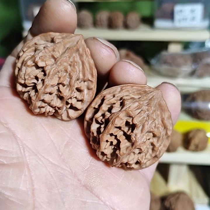 40加尺寸红灯笼狮子头