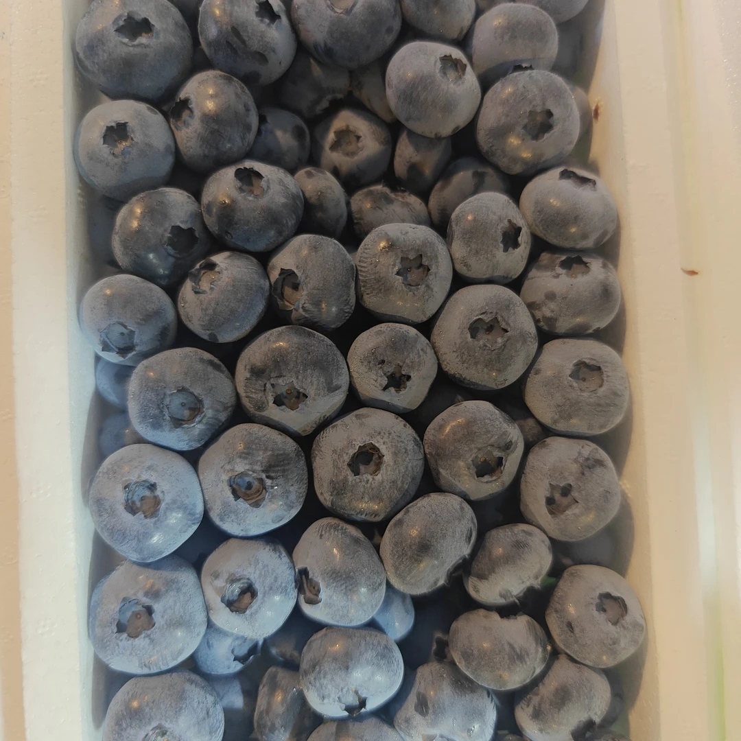 蓝丰蓝莓.带箱450克新鲜黑龙江省