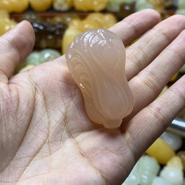 完全开放粉色白菜