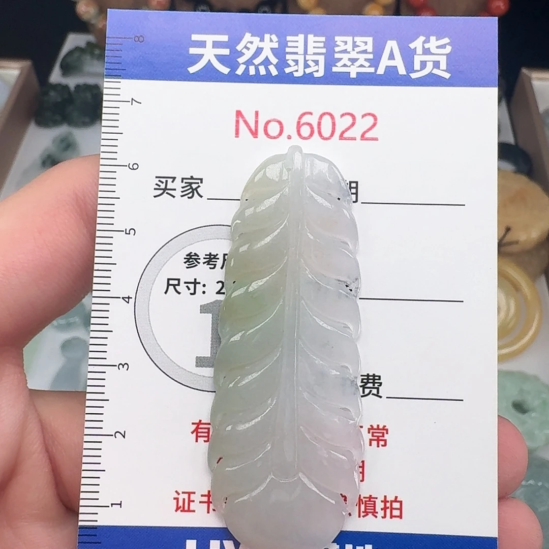 颈饰未镶嵌翡翠……22