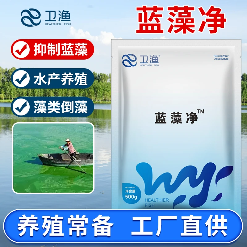 卫渔正品！蓝藻净水产专用虾蟹鱼塘蓝藻精灵蓝藻、裸甲藻厂家直销