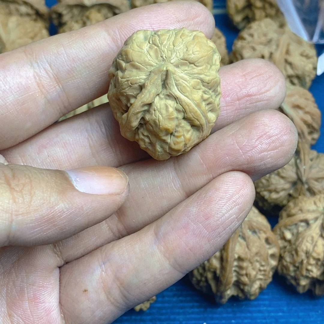 有***好手串/手链核桃虚尖