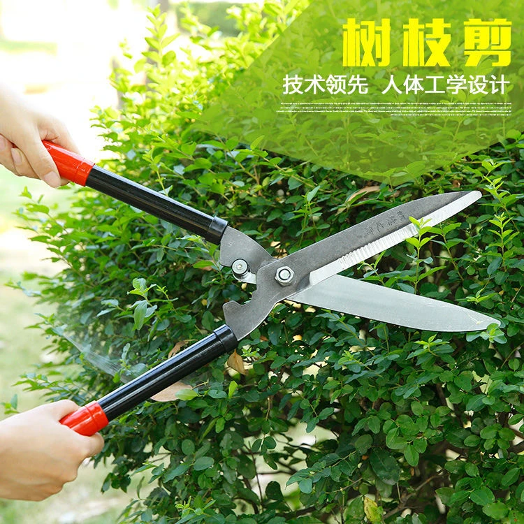 园艺修枝剪刀修绿化草坪绿篱剪大花剪园林剪枝工具修剪树枝剪刀