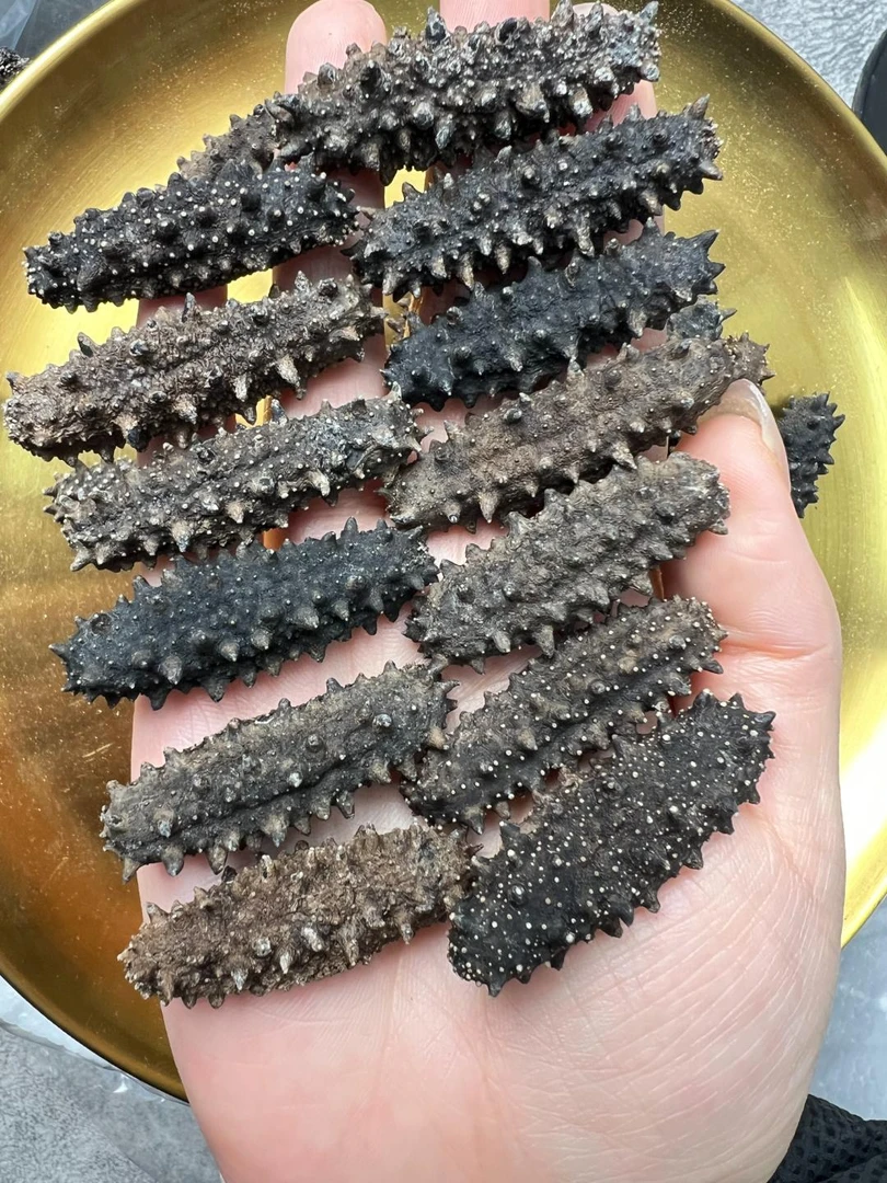 【外海六排刺】一级品质野生干海参滋补养生高品质野生海参250g