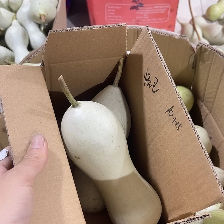 非洲紫檀（红花梨）悟*