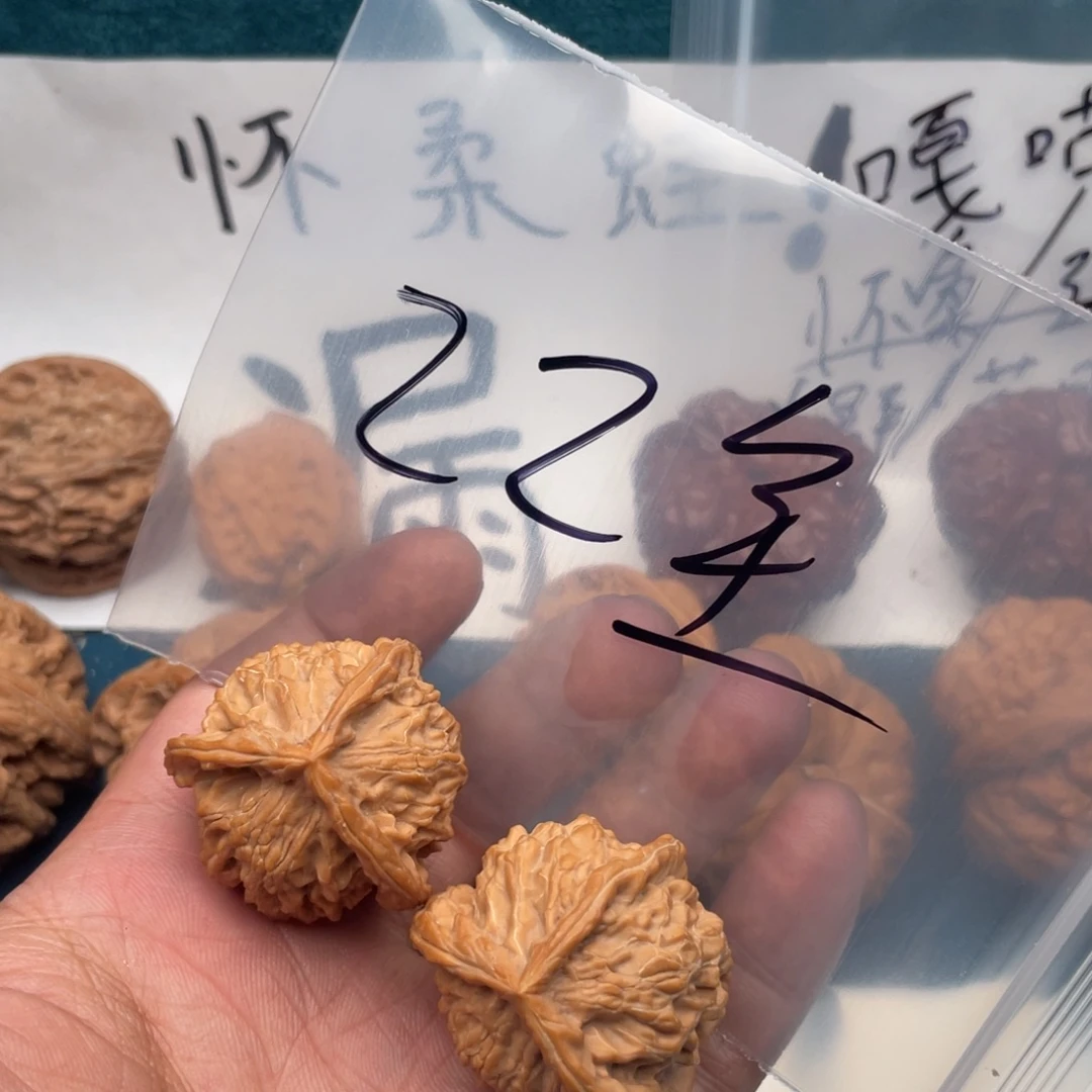 核桃W;69974974470570057