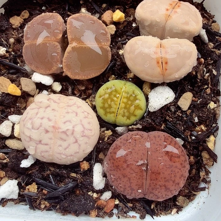 好了就给您送下去呀362