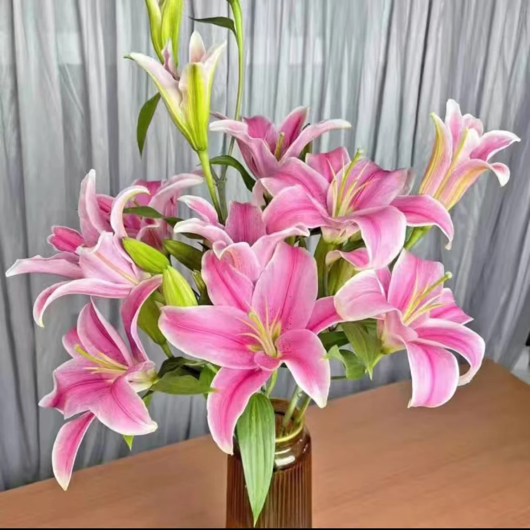 【粉百合】云南基地鲜花新鲜高品质1单普通快递 2单顺丰/京东