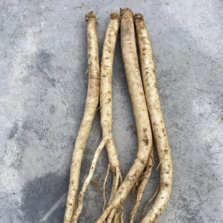 甘肃渭源鲜白条党参，甘肃原产地直发，自家种植的泡水，煲汤纯肉