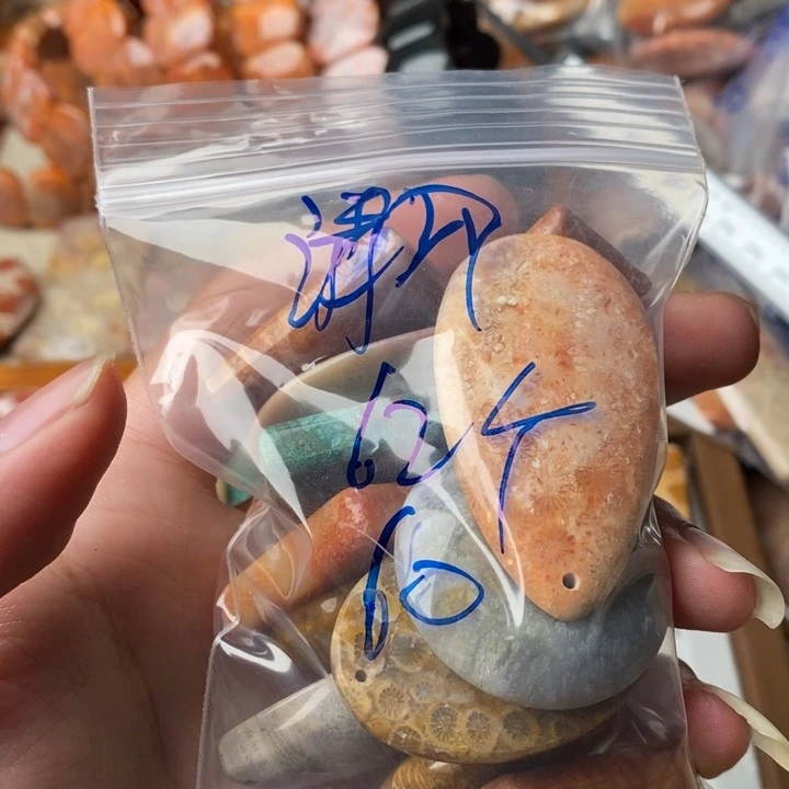 清***呀硅化玉未镶嵌珊瑚玉