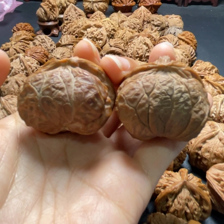 红灯蛇头35尺寸核桃哈哈哈哈哈哈哈