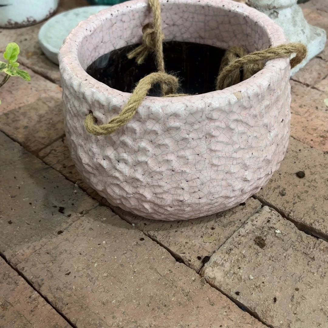 许纯的花房 粉色吊盆