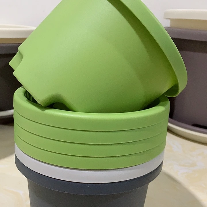 球根口17果绿5个无托