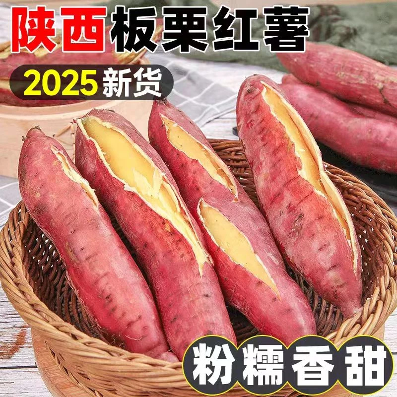 25年正宗陕西临栗红薯现挖新鲜地瓜番薯农家自种小香薯非桥头地瓜