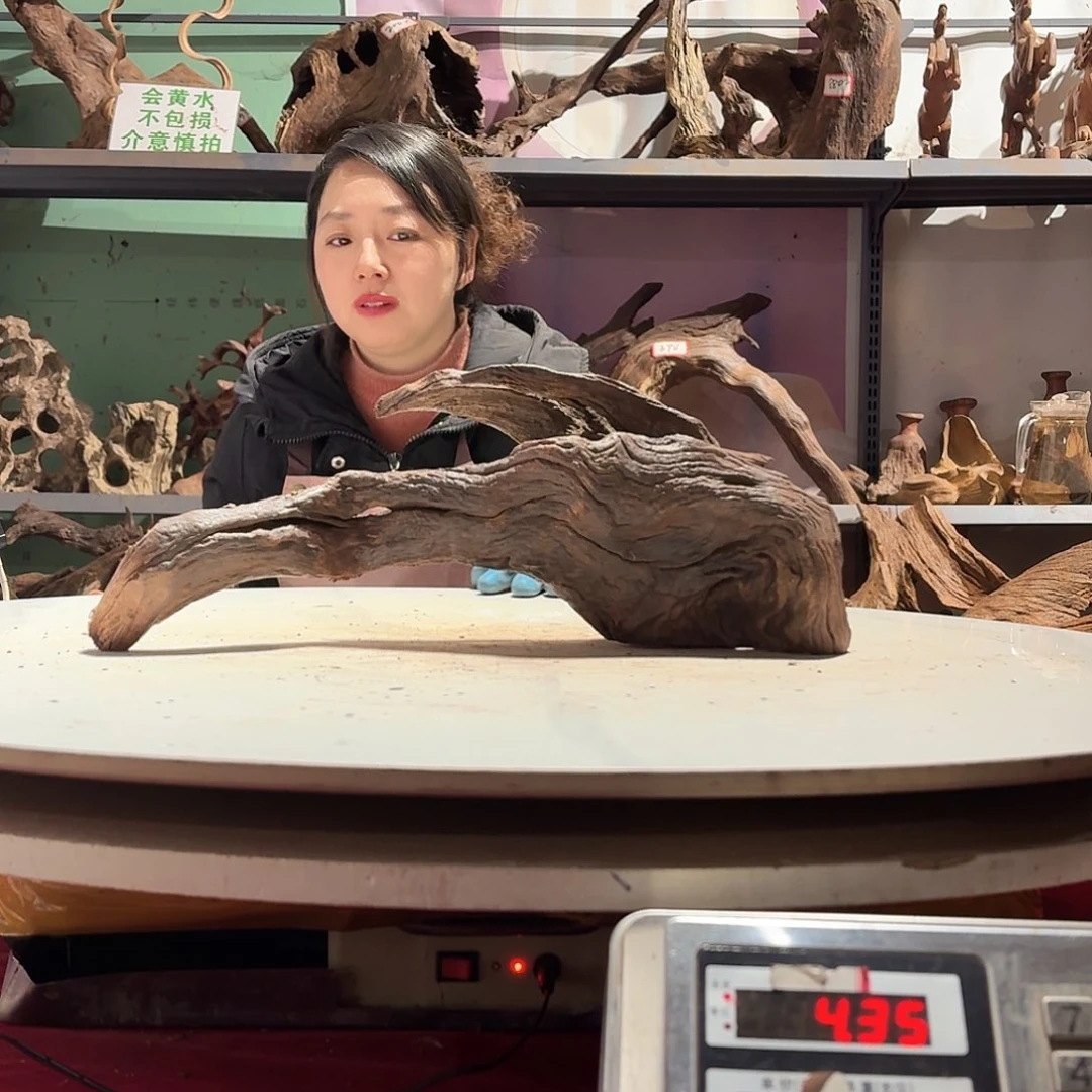 倍褚沉木不包损必褪色痞*阳7274