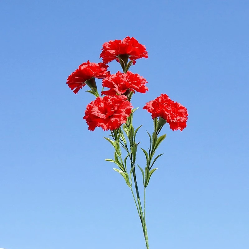 【花间拾彩】单枝5头大康乃馨 仿真花假花节日礼物家居轻奢装饰花艺