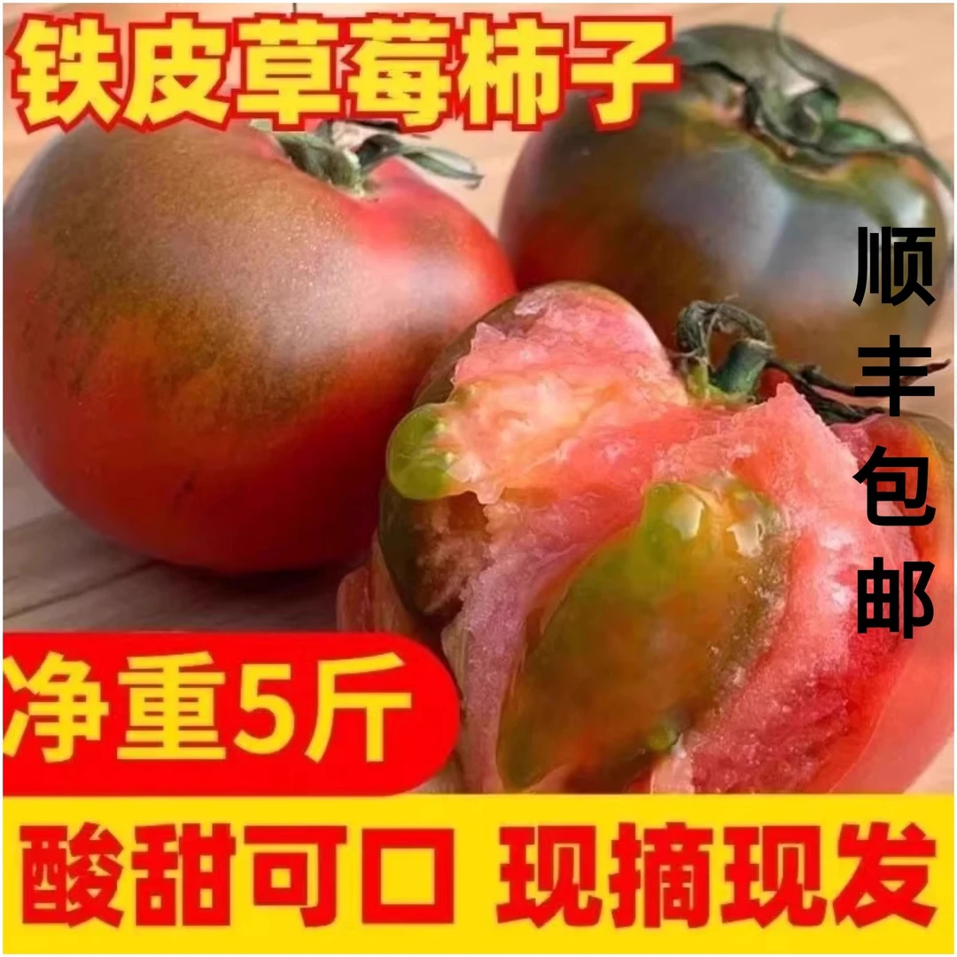 5斤正宗丹东铁皮西红柿草莓西红柿自然熟铁皮番茄柿子产地直发