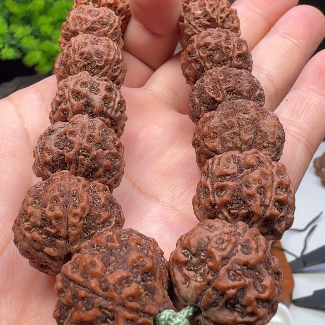 金刚菩提手串老籽粗筋蜂窝双龙