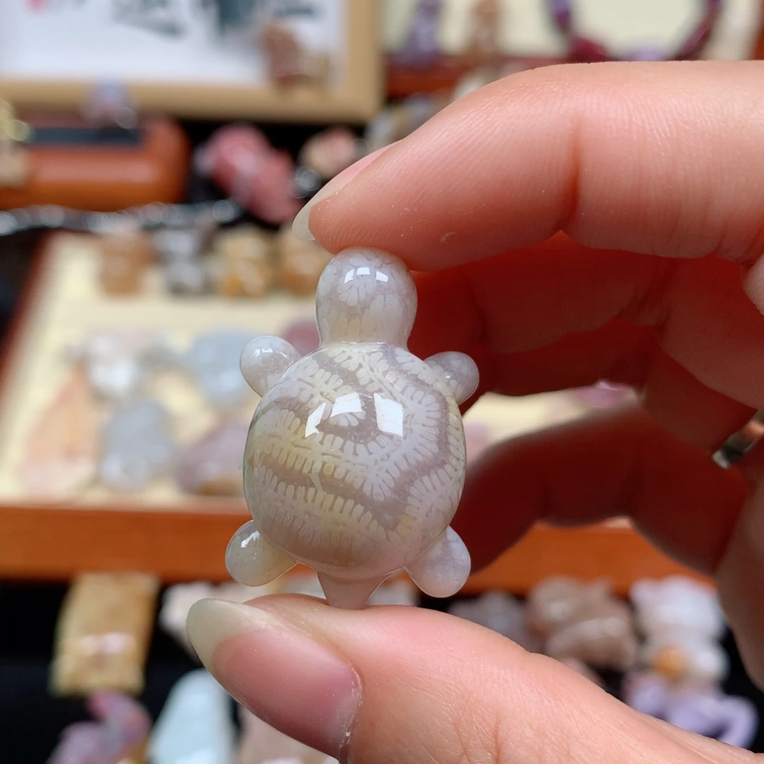 硅化玉珊瑚玉未镶嵌
