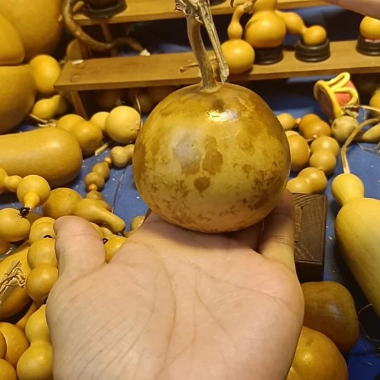 直播间专供链接葫芦