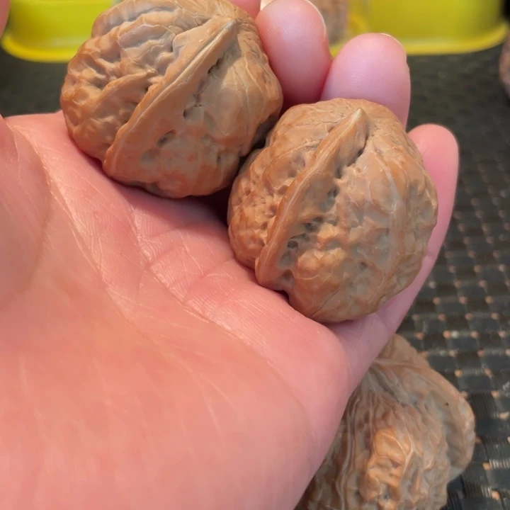 文玩核桃吊坠蛤蟆异性核桃