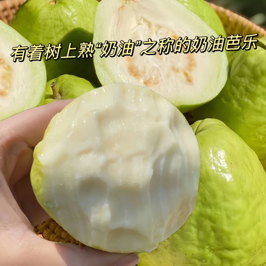 【嘻果先生】番石榴一箱